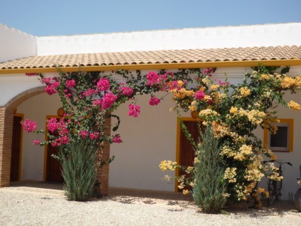 villa en andalousie province de cadiz