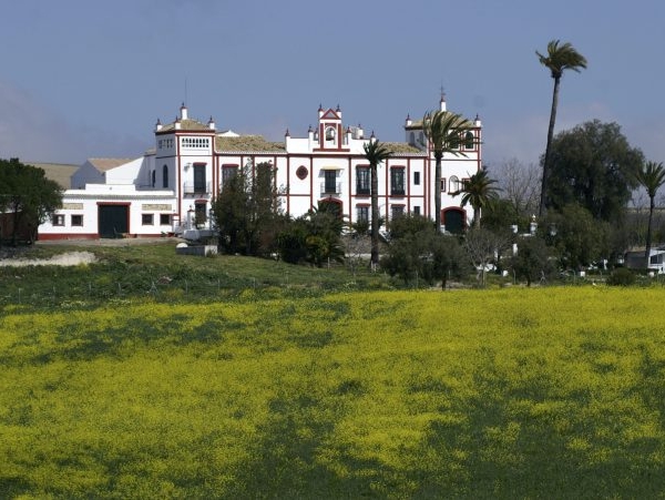 hacienda Proche de Seville 