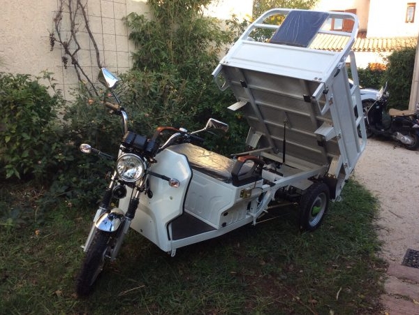 tricycle électrique cargo