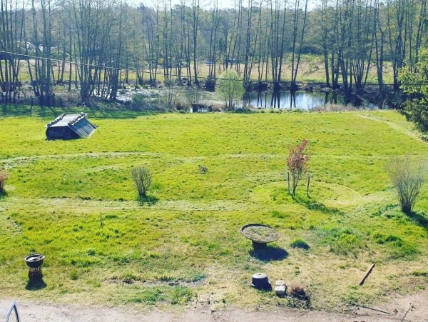 terrain de campagne verdoyant avec étang