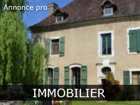 Professionnel recherche immense villa de luxe, architecture contemporaine, toit plat et piscine, ile de France
