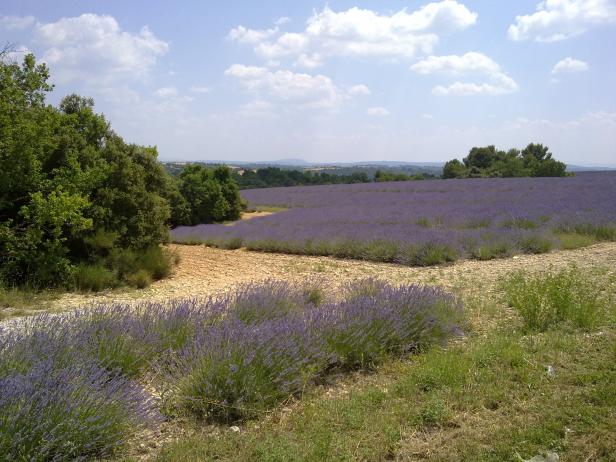 château au coeur de la haute Provence, Photo 17