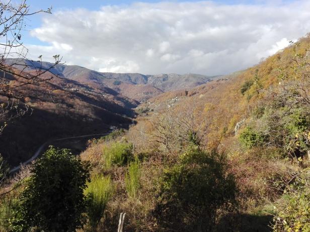 châtaigneraie et ancien verger jusqu'à 5 hectares au cœur de l'Ardèche, Photo 2