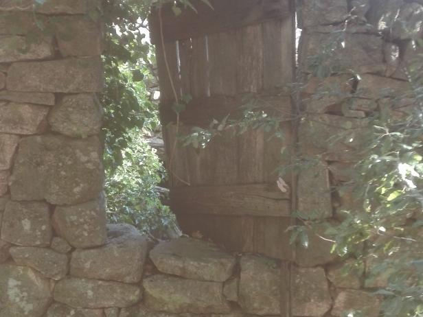 châtaigneraie et ancien verger jusqu'à 5 hectares au cœur de l'Ardèche, Photo 6
