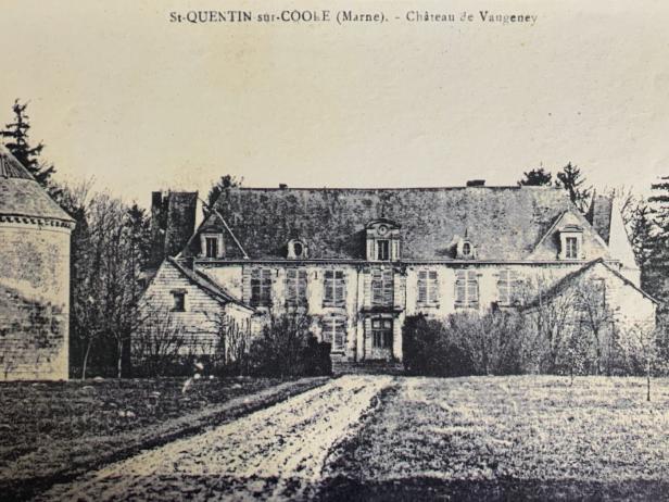 grand domaine boisé avec ancien château et pigeonnier champenois, Photo 18