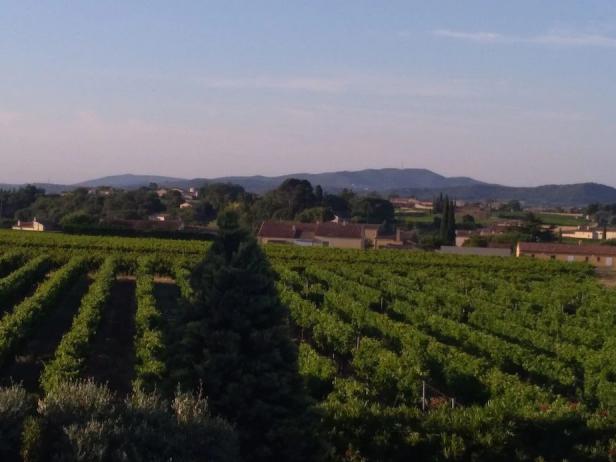 villa soleiado au coeur d'un vignoble gardois, Photo 33