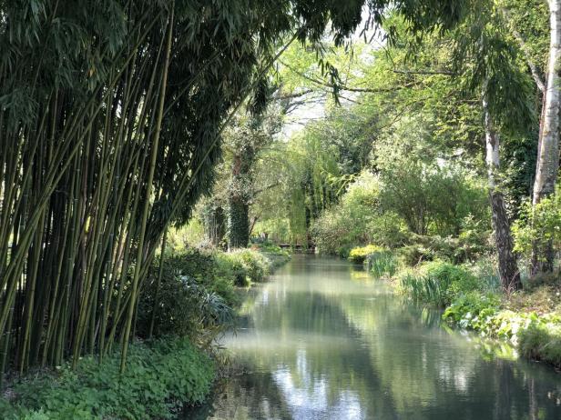 jardin paysagé avec étang et rivière en plein cœur de la Champagne, Photo 3