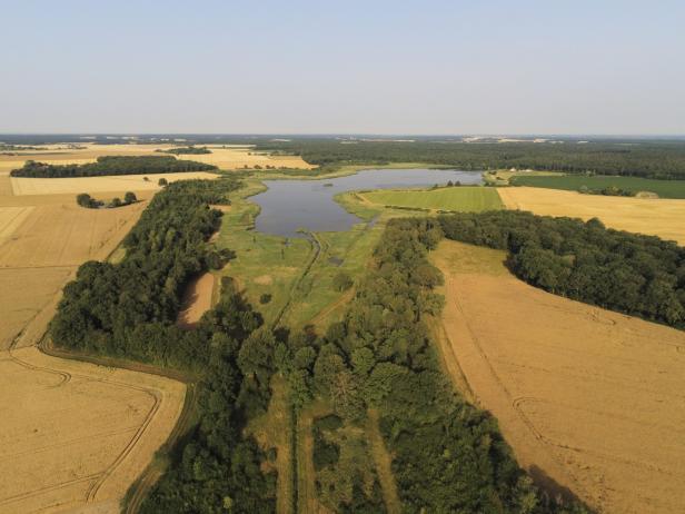 domaine naturel Loir et Cher, Photo 2